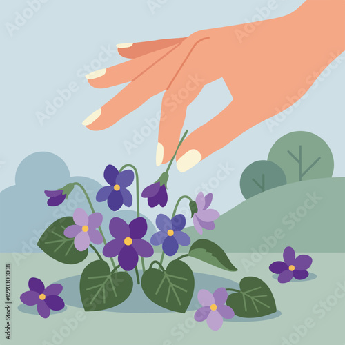 Hand picking purple violet flowers. Flat design vector illustration of gardening and nature. Minimalist spring floral scene with hills and sky