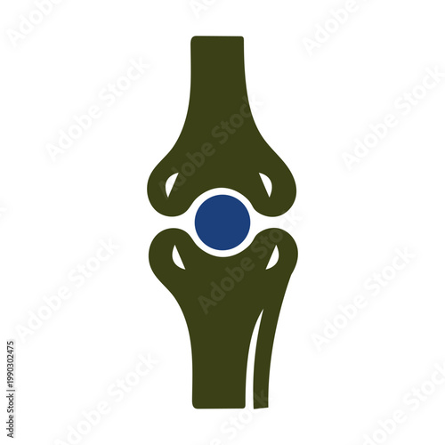 Anatomical illustration of a knee joint with prosthetic implant
