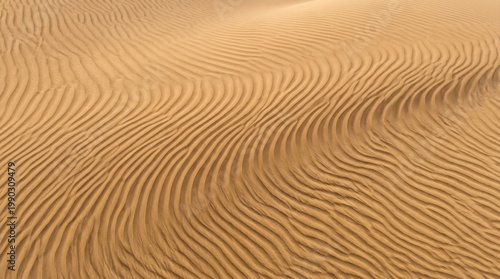 Desert Sand Dune Ripple Wind Pattern Abstract