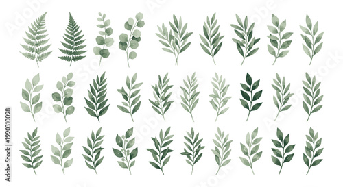 Collection of Watercolor Green Leafy Branches and Ferns.