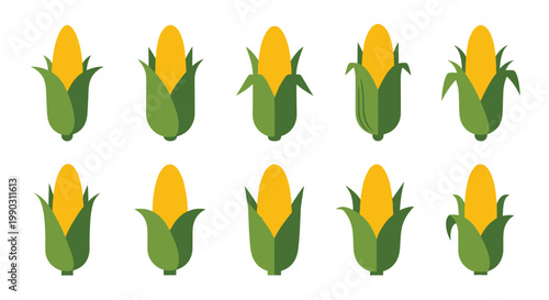 Flat design illustrations depicting a variety of sweet corn cobs in different stages of being peeled.