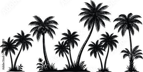 Palm tree silhouette illustration set, tropical beach design, coastal nature art, summer holiday graphic, exotic landscape vector, black-and-white drawing