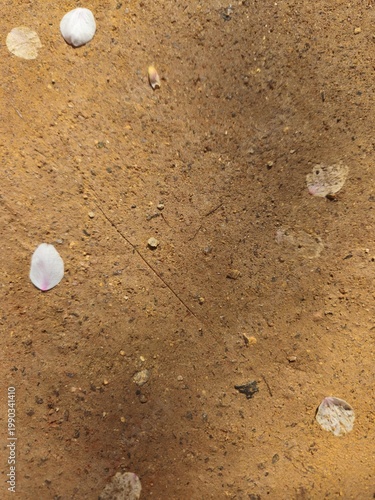 Brown Earth Texture With Small Pebble