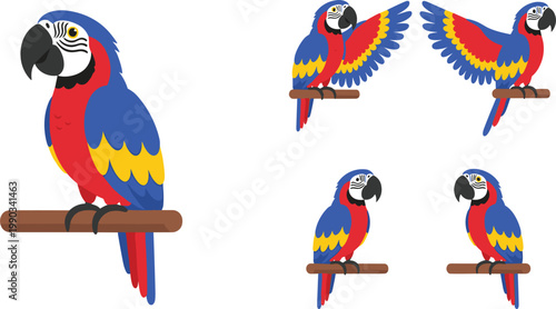 Colorful Parrot Cartoon Illustration Set with Macaw Birds in Various Poses for Wildlife Design, Tropical Graphics, Kids Projects, and Creative Use.