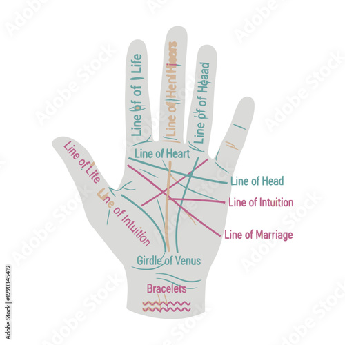Palmistry hand with labeled lines and mounts