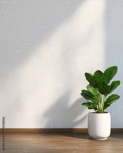 Biophilic Design Workspace clean interior with single plant and sunlight casting organic shadow on blank wall, biophilic design workspace calm minimal scene, biophilic design workspace background