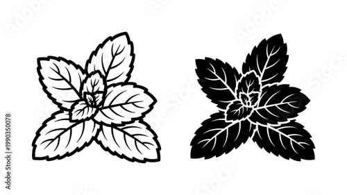 Fresh Mint Leaf Vector Outline and Silhouette Set