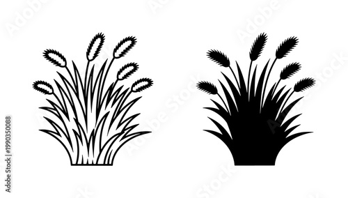 Cattail Reed Grass Silhouette and Outline Vector Set