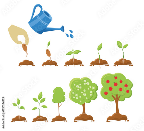 gardening seed planting, sprouting, growth stages, flowering tree and apple tree with watering can and hand seedling set for ecology and agriculture design Flat style illustration