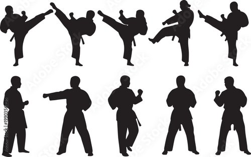 Dynamic silhouettes of martial artists performing karate kicks and stances in a sequence, showcasing discipline and athletic movement.