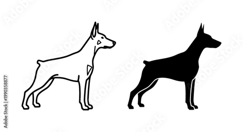 Doberman Pinscher Dog Silhouette and Line Art Vector