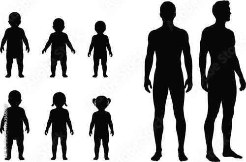 Silhouette illustration showing human growth stages from infancy to adulthood, highlighting physical development, body proportions, and life progression