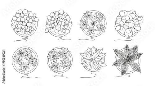 Top view potted plants set for interior design