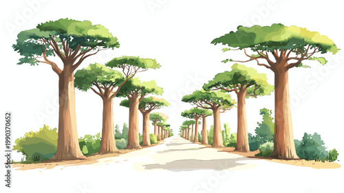Avenue of the Baobabs. Avenue of the Baobabs hand drawn watercolor illustration on white background