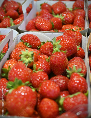 Fraises du marché