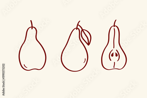 Minimalist line art set of pears. Hand drawn fruit collection. Organic food, cider production. Farm market concept. Vector illustration on isolated background. Design element