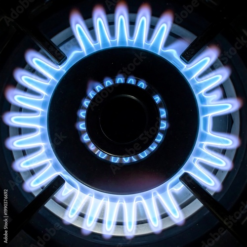 A top-down view of a stove burner with vibrant blue flames radiating outwards from the center in a circular pattern. The burner is black