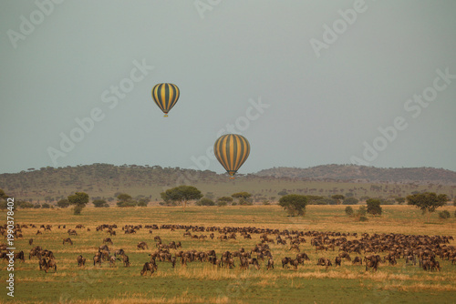 Hot Air Balloons Flying Over Wildebeest Migration in Maasai Mara