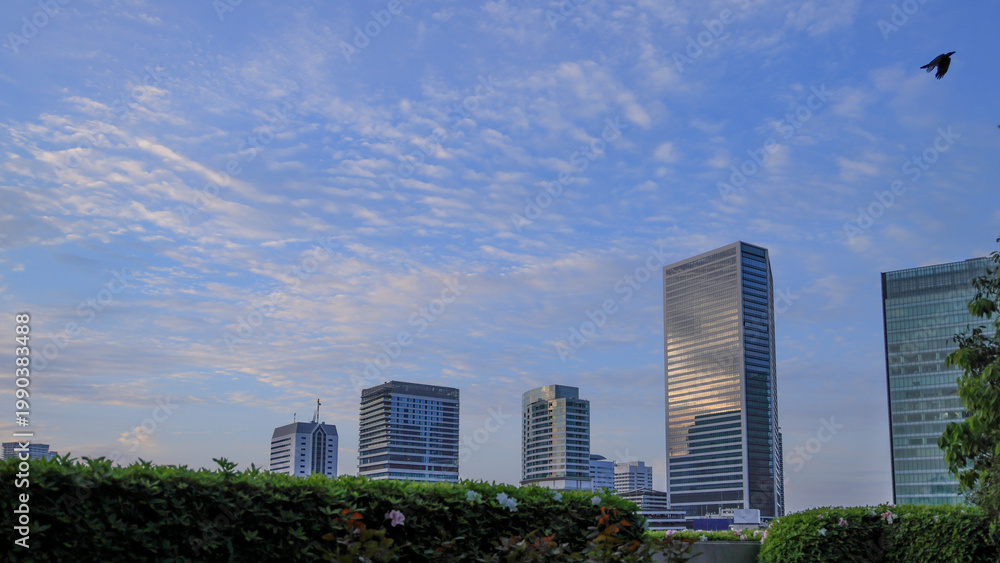 Fototapeta premium 都心散歩 東京湾岸の夜明け
