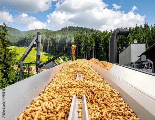 Wood Pellets On Industrial Conveyor Belt Natural Wood Tone Moving Forward At Biomass Fuel Production Facility In Forest