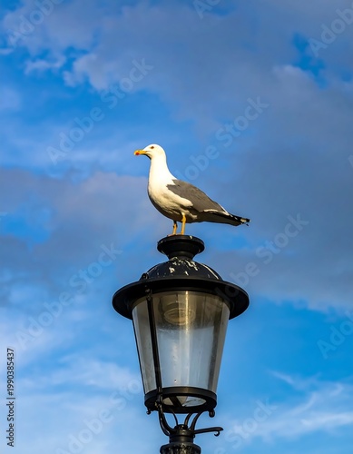 White Seagull Outdoor Photography Blue And Grey Perched On A Vintage Street Lamp Against A Cloudy Backdrop During Daytime In Vertical Format