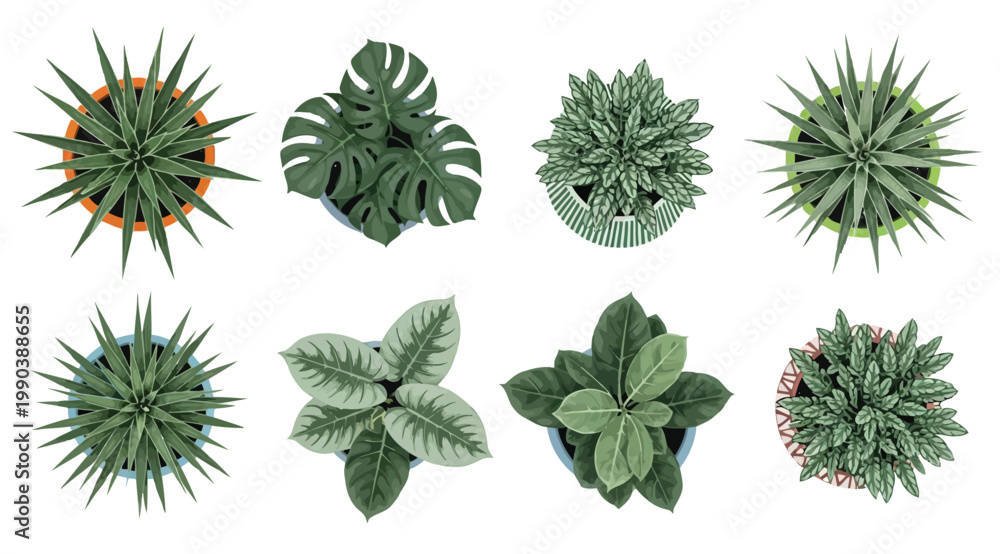 Fototapeta premium Set of various potted plants top view