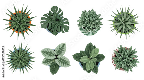 Set of various potted plants top view
