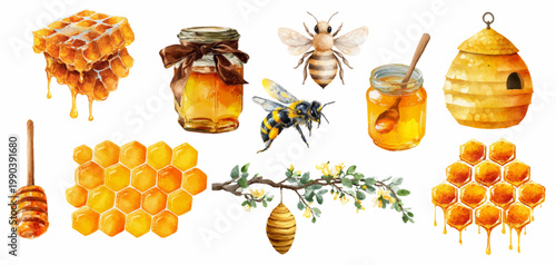 Honey, bees, and honeycomb collection with jars, hive, dipper, and flowering branch, illustrating sweet natural products and beekeeping concepts