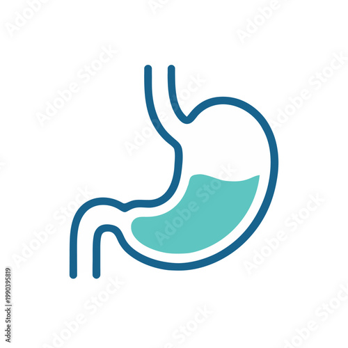 Stomach line icon minimal outline digestive system organ illustration