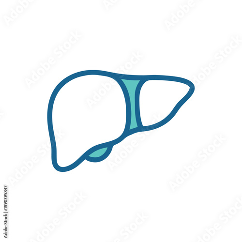 Liver line icon minimal outline human organ medical illustration