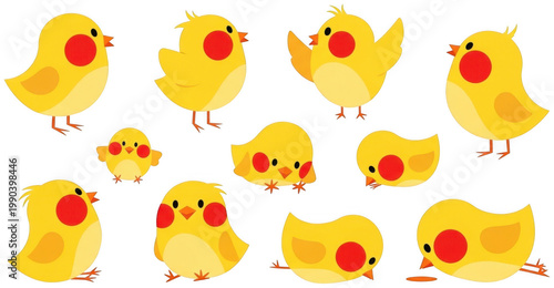 Cute chick png Little bird cutout Baby chicken png Tiny fledgling cutout Sweet hatchling png Funny poultry cutout Fluffy animal png Small nestling cutout isolated transparent background image
