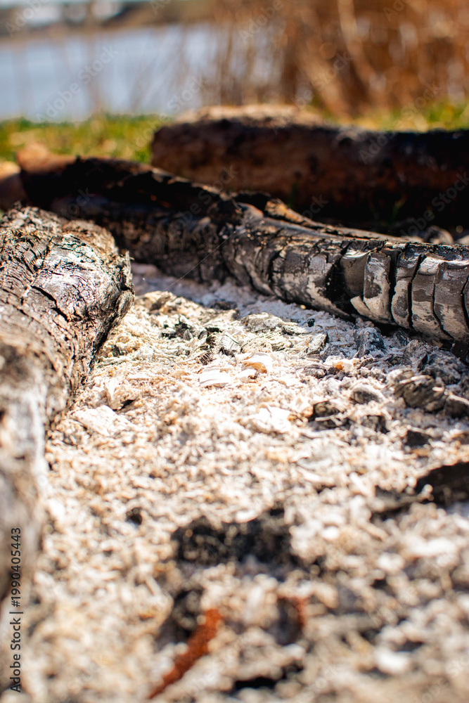 Fototapeta premium extinguished riverside campfire with ash and charred wood in close-up under natural daylight