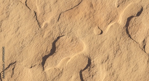 Natural brown desert sand dunes with a dry textured pattern and abstract wind ripples create a beautiful summer nature background