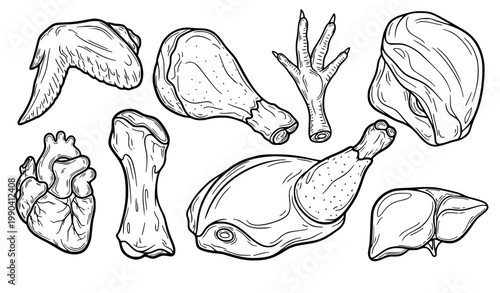 Hand Drawn Raw Chicken Meat Parts Outline Set Wing Drumstick Leg Feet Neck Heart Liver Farm Food Vector