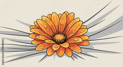A close-up illustration of an orange gerbera daisy with dew drops and radiating shadow lines