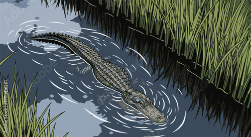 Alligator swims through marshy water surrounded by tall green reeds and dark reflections