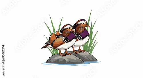 Two colorful, decorative waterfowl stand together on rocks in shallow blue water, surrounded by green grass
