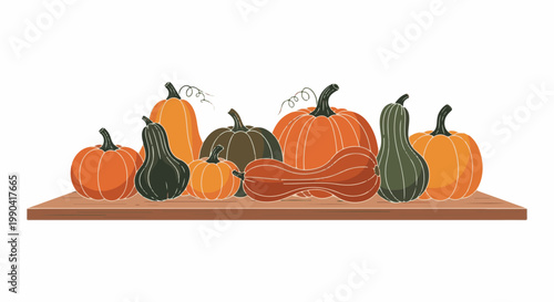 Assorted gourds and pumpkins arranged on a wooden shelf, displayed against a white background