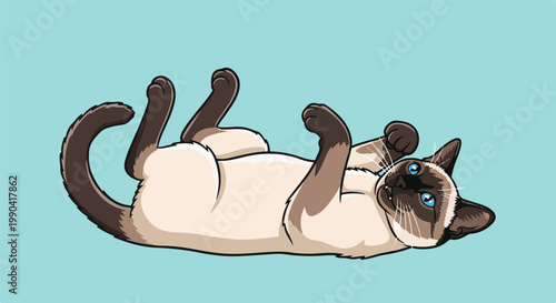 A playful Siamese cat with bright blue eyes rolls on its back against a teal background