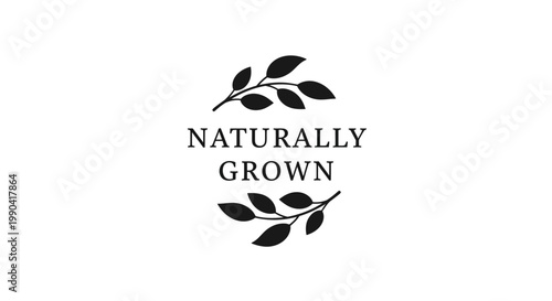 Naturally grown leaf logo symbol.