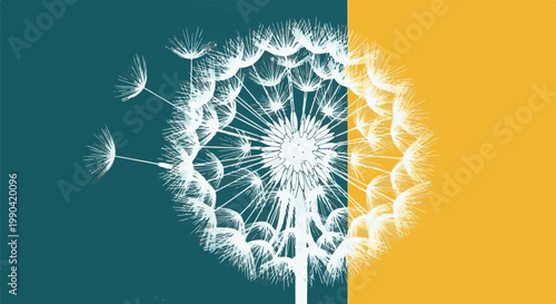 Abstract white dandelion seeds float against a split teal and yellow background