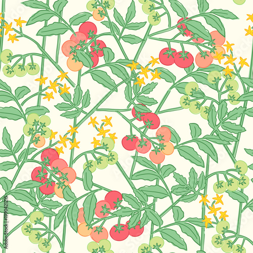 tomato plant in seamless pattern