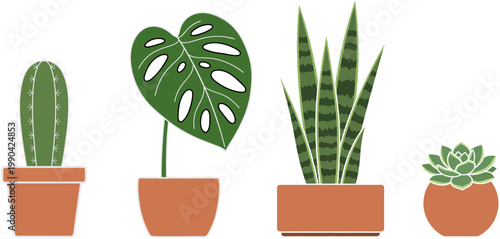 Vibrant Botanicals: A collection of captivating houseplants, each in its own earthenware pot, ready to inject life into any space.