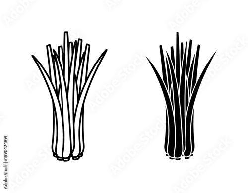 Lemongrass stalk outline and black silhouette icon set