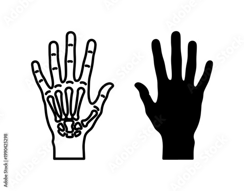Human Hand Skeleton and Silhouette Vector Icons