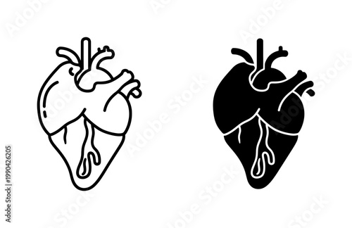 Human Heart Anatomical Icon Set in Line and Solid Style