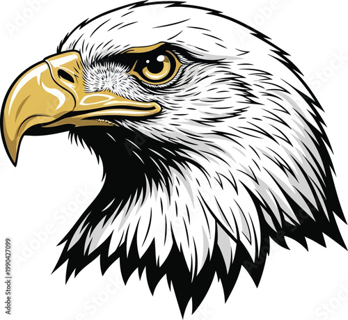 American bald eagle head portrait vector illustration showing a fierce bird of prey with sharp beak, white feathers, and intense eye symbolizing wildlife and strength