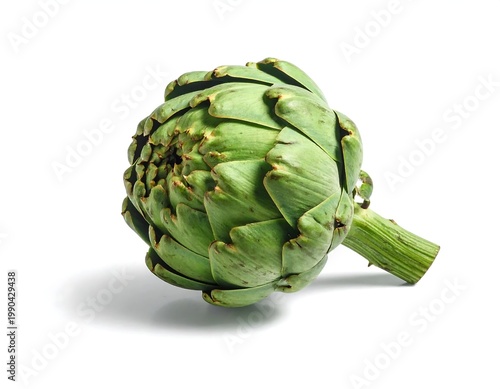 Whole Fresh Green Artichoke Isolated On White Background Studio Shot Of Raw Healthy Vegetable With Shadow High Quality Food Photography
