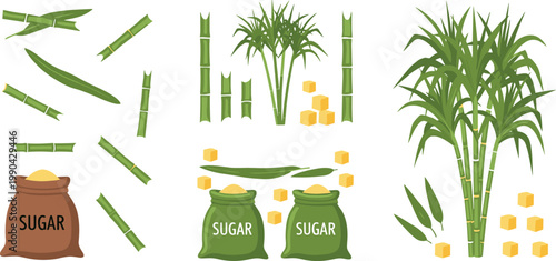 Sugarcane elements set with plant stalk leaves cubes and sugar bags isolated on white background for agriculture food production and sweet industry concepts