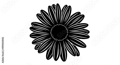Black and White Daisy Flower Illustration.